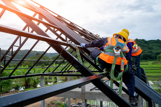 Best Metal Roofing Contractor  in Shawsville, VA
