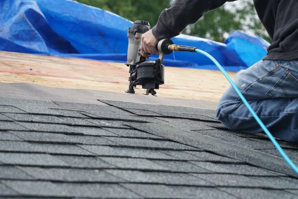 Best Roof Repair Services  in Shawsville, VA